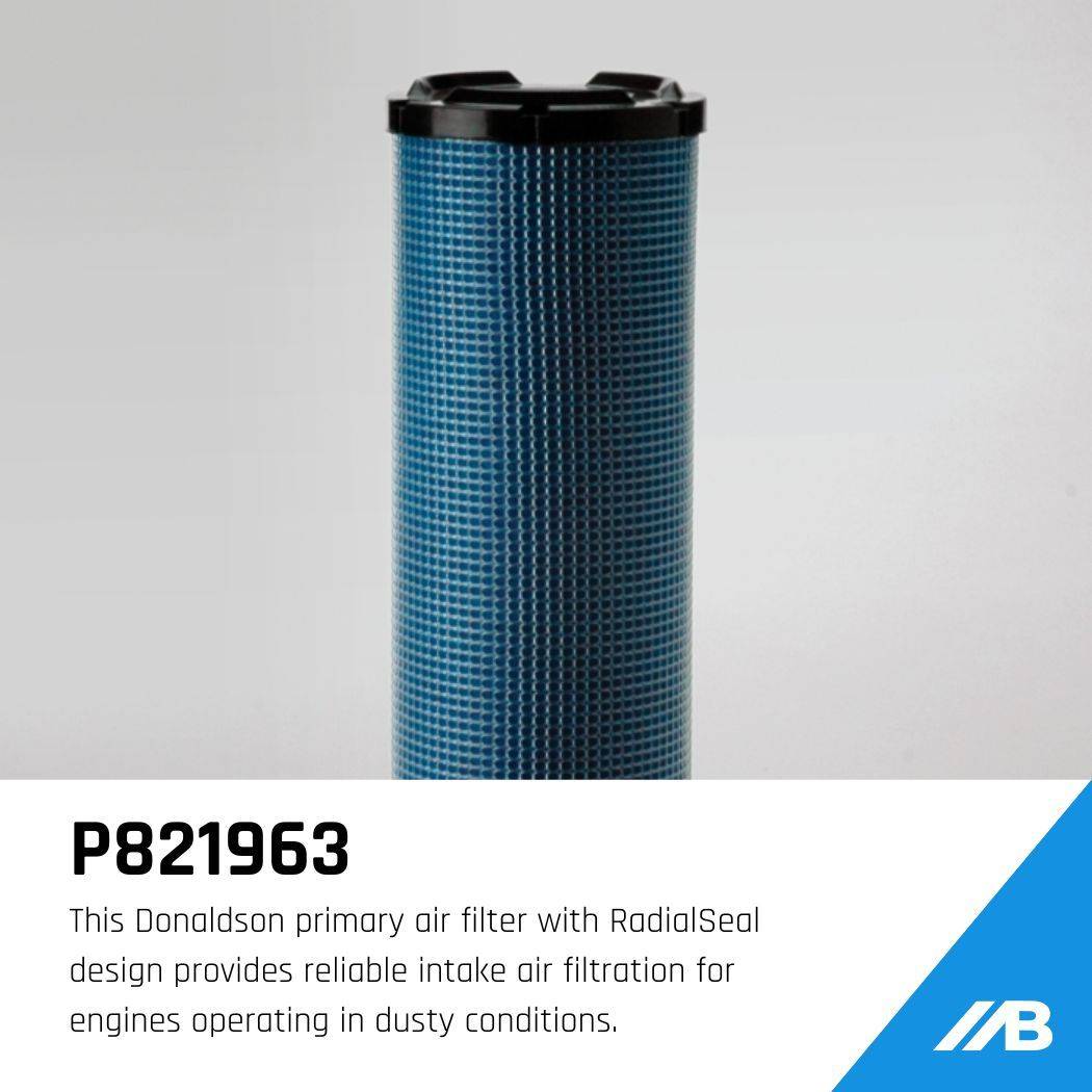 P821963 Donaldson Air Filter Primary RadialSeal