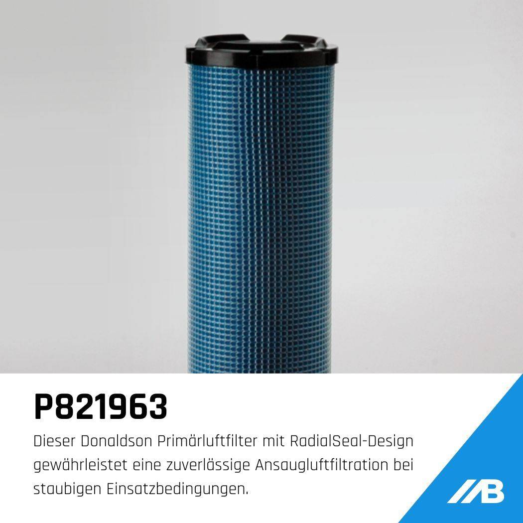P821963 Donaldson Luftfilter Primär RadialSeal