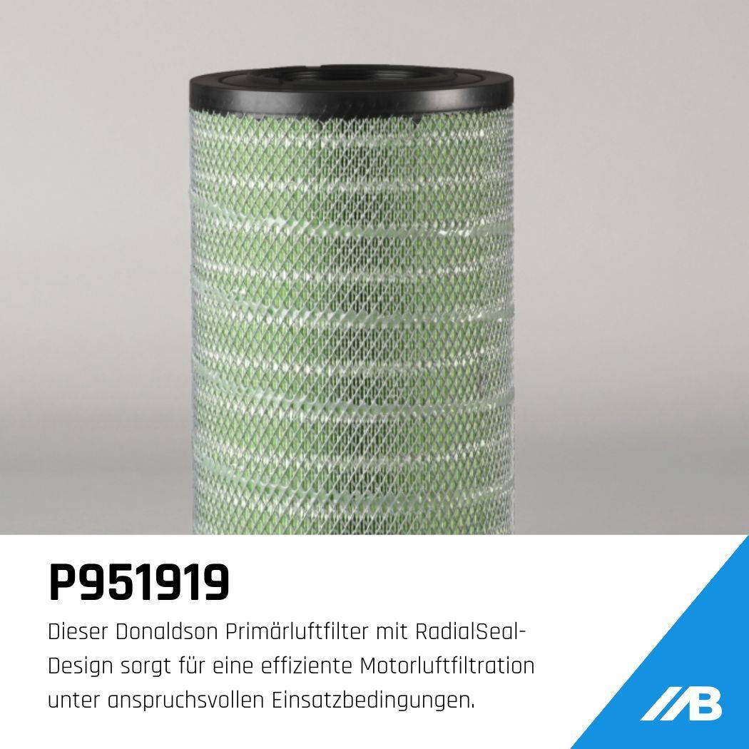 P951919 Donaldson Luftfilter Primär RadialSeal