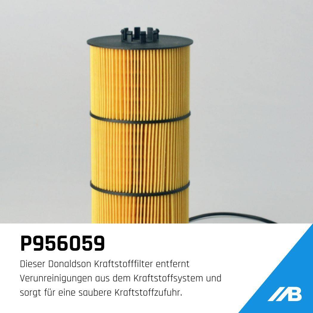 P956059 Donaldson Kraftstofffilter