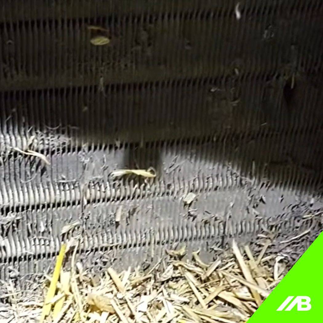 Schritt 4_ Filtergehäuse prüfen und reinigen